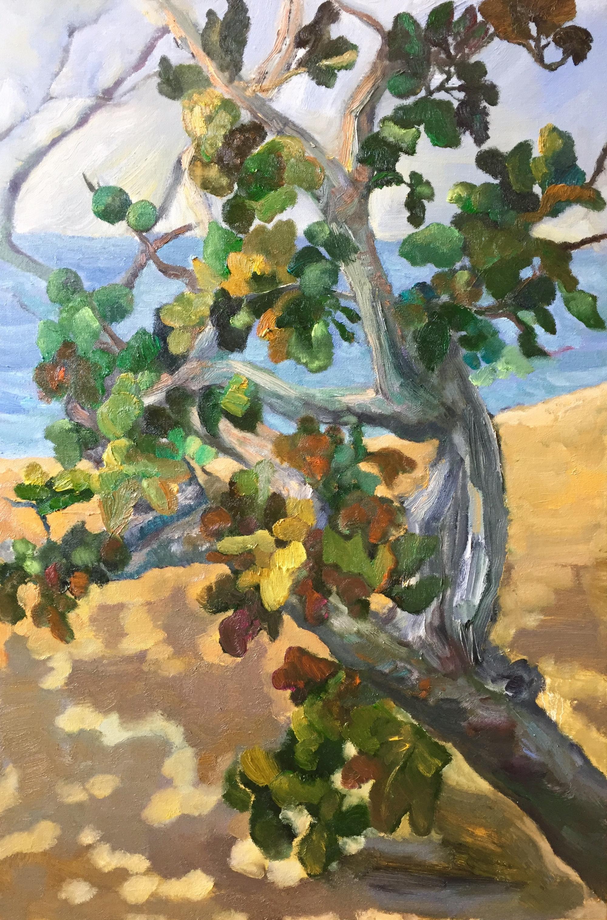 海边的无花果树